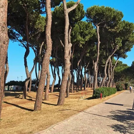 Locazione Turistica Borgo Dei Fiori - Pit205 Dom wakacyjny Pineto