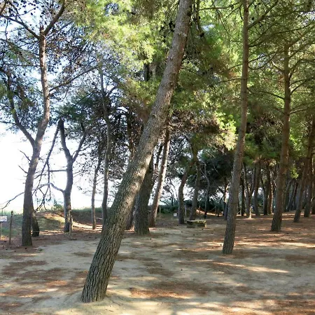 Locazione Turistica Borgo Dei Fiori - Pit205 Pineto